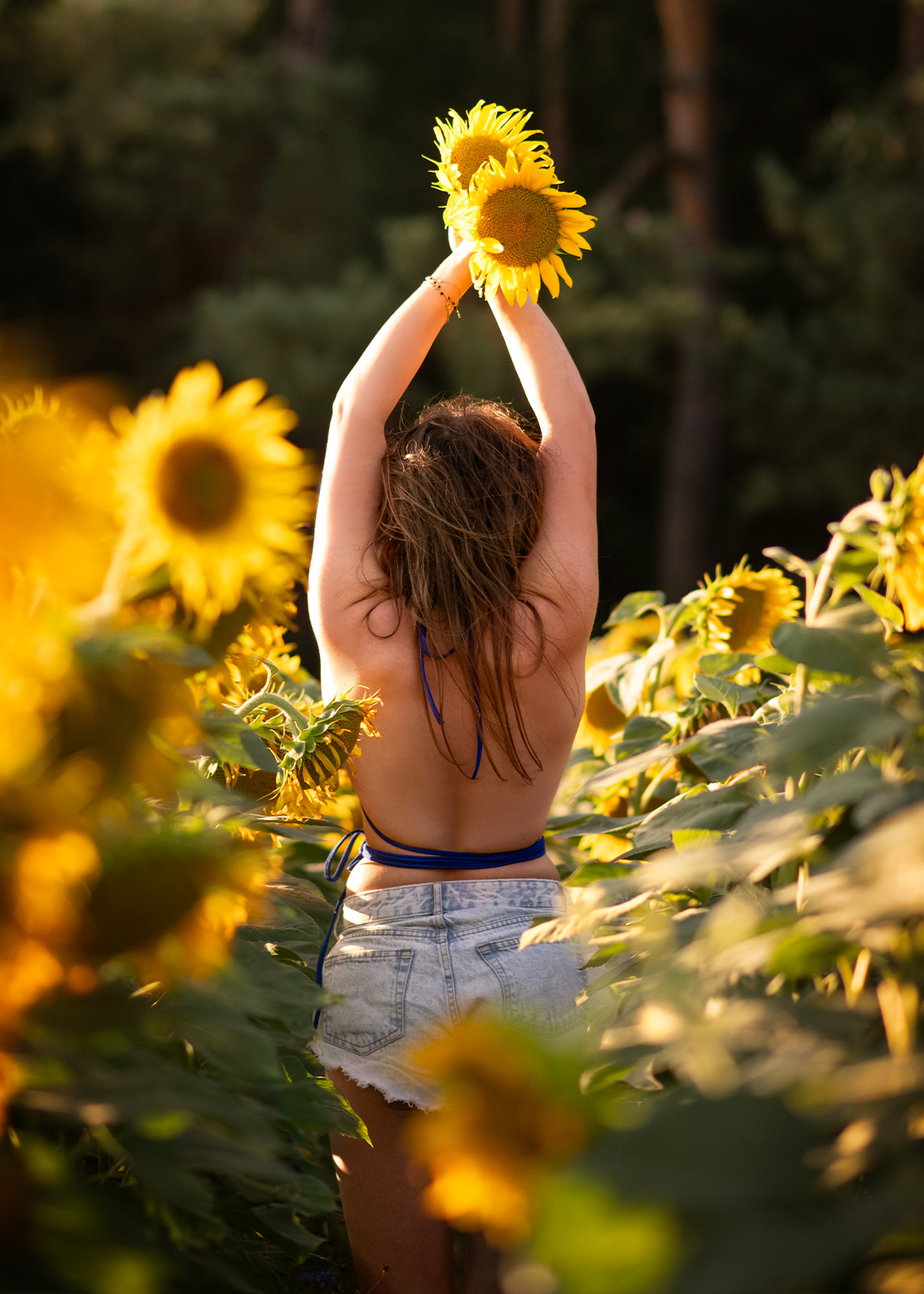 Woman standing among sunflowers with her back to the camera at sunset.